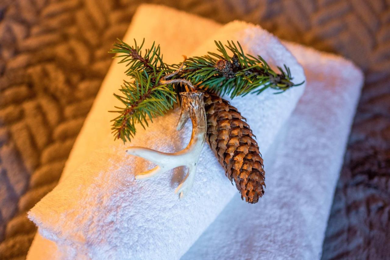 Domki Widokowe Wooden Luxury Chalet & Jacuzzi Zab Kültér fotó